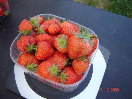 Kmetija Žižek – Fortner 8